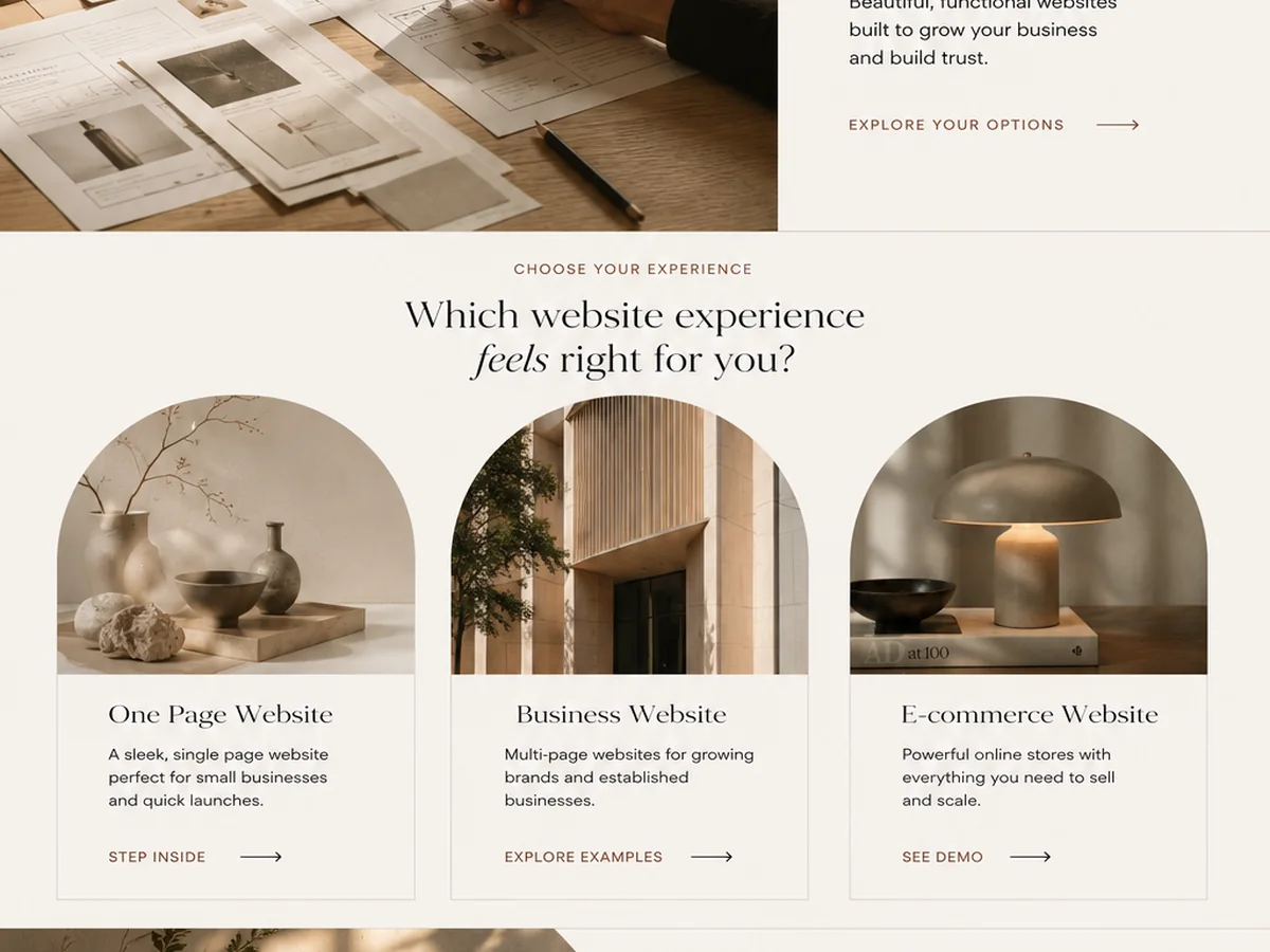 ADNER website solutions preview